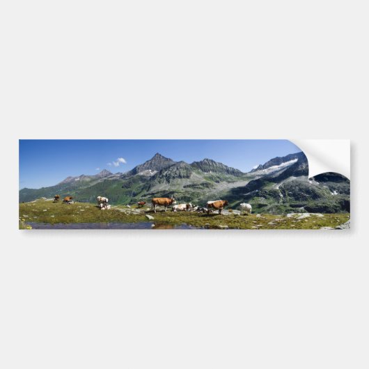 Koeien in de bergen bumpersticker (Voorkant)