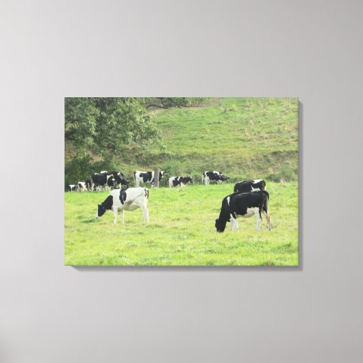 Koeien in de Country Pasture Fotowand Canvas Kunst (Voorkant)