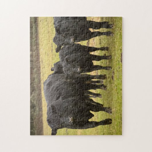 Koeien in de regen legpuzzel (Verticaal)