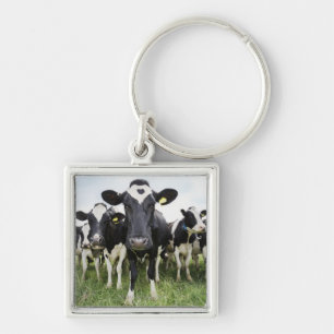 Koeien in de rij sleutelhanger