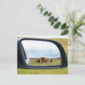 Koeien in de spiegel briefkaart (Staand voorkant)