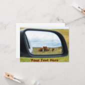  koeien in de spiegel kaart (Voorkant / Achterkant in situ)