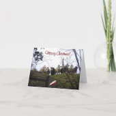 Koeien in de Uitnodiging van de Partij van (Voorkant)