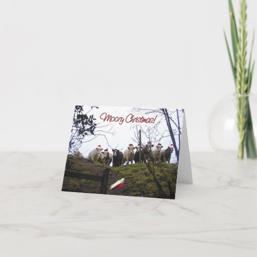 Koeien in de Uitnodiging van de Partij van (Voorkant)