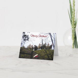 Koeien in de Uitnodiging van de Partij van