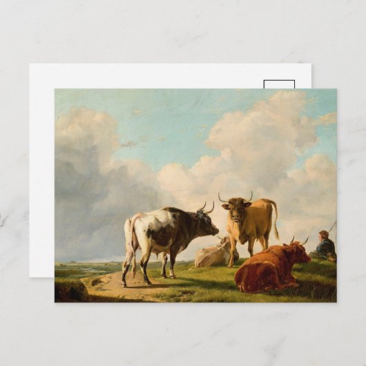 Koeien in de wei | Eugène Joseph Verboeckhoven Briefkaart (Voorkant / Achterkant)