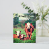 Koeien in de wei feestdagenkaart (Staand voorkant)