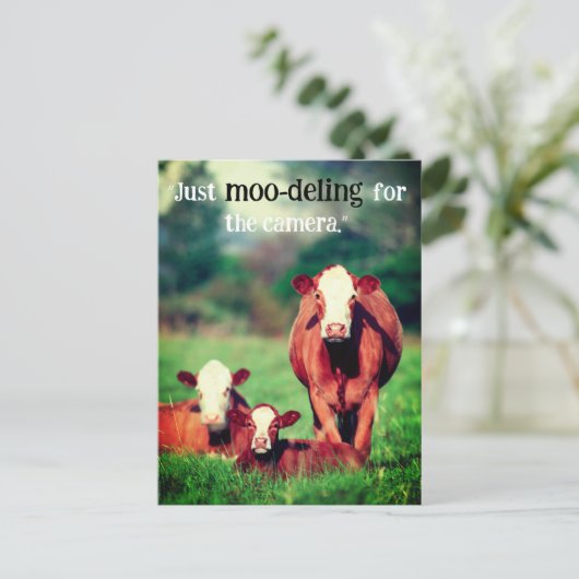 Koeien in de wei feestdagenkaart (Staand voorkant)