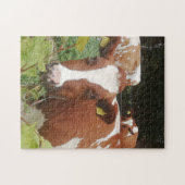 Koeien in een boerderij. legpuzzel (Horizontaal)