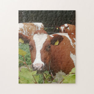 Koeien in een boerderij. legpuzzel