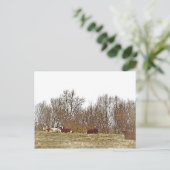 Koeien in een veld briefkaart (Staand voorkant)