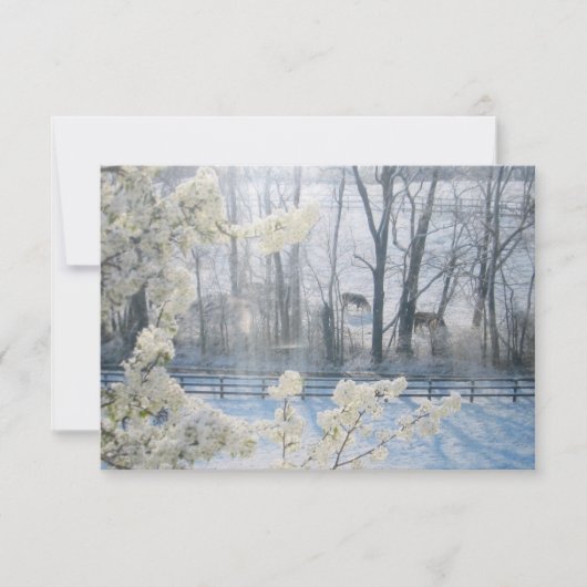 Koeien in een veld in de winter kaart (Voorkant)