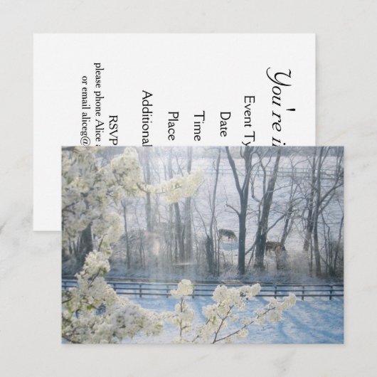 Koeien in een veld in de winter kaart (Voorkant / Achterkant)