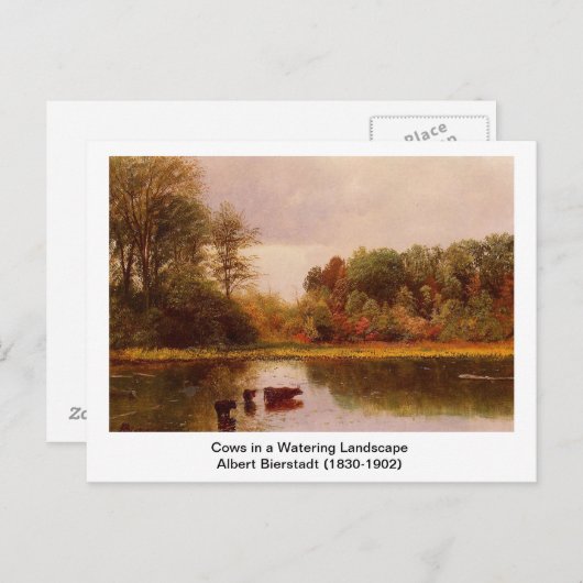 Koeien in een waterlandschap door Albert B. Briefkaart (Voorkant / Achterkant)