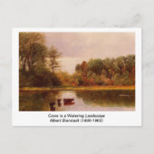 Koeien in een waterlandschap door Albert B. Briefkaart (Voorkant)