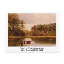 Koeien in een waterlandschap door Albert B.