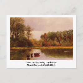 Koeien in een waterlandschap door Albert B. Briefkaart