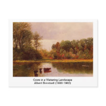 Koeien in een waterlandschap van Albert B.