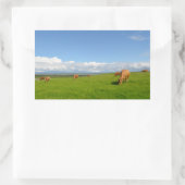 Koeien in een weide in Ierland rechthoekige sticke Sticker (Tas)