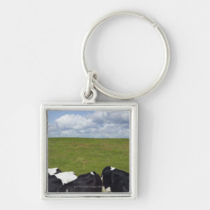 Koeien in een weide. sleutelhanger
