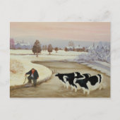 Koeien in een winterrivier briefkaart (Voorkant)