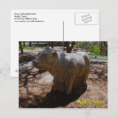 Koeien in het Arboretum Briefkaart (Voorkant / Achterkant)