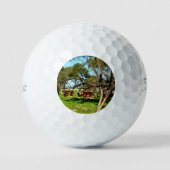 Koeien in het bereik, golfballen (Voorkant)