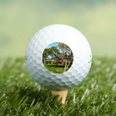 Koeien in het bereik, golfballen (Insitu Shirt)