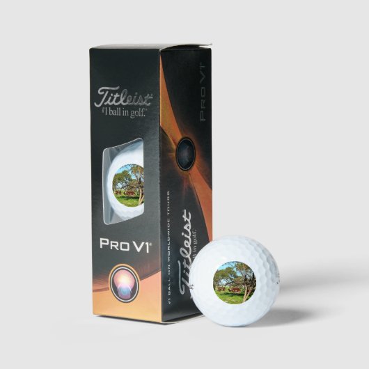 Koeien in het bereik, golfballen (Verpakking)