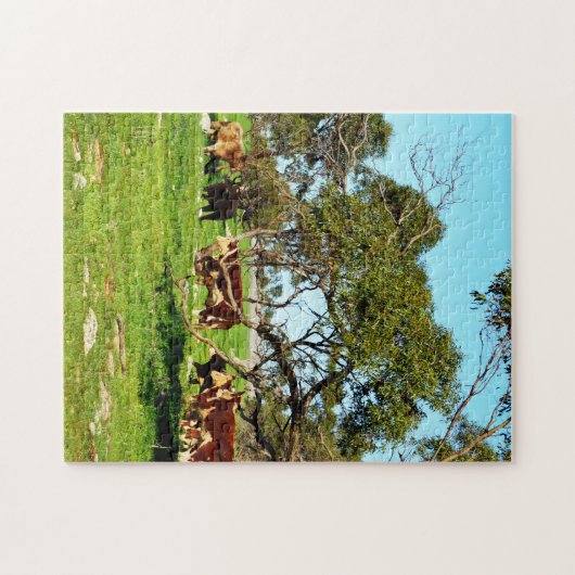 Koeien in het bereik, legpuzzel (Horizontaal)