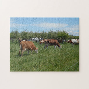 Koeien in het deegras legpuzzel
