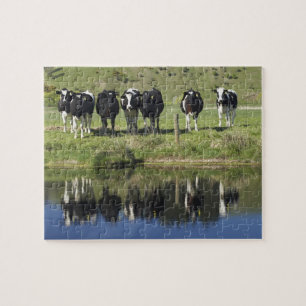 Koeien in het kanaal Henley, Taieri Plain, Legpuzzel