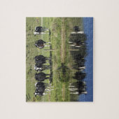 Koeien in het kanaal Henley, Taieri Plain, Legpuzzel (Verticaal)