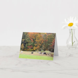 Koeien in het veld Herfst gebladerte Fotografie Op Kaart
