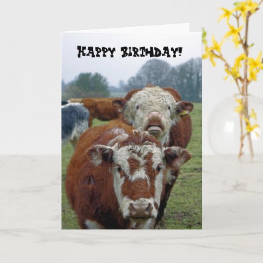 koeien in het veld kaart (Gele Bloem)