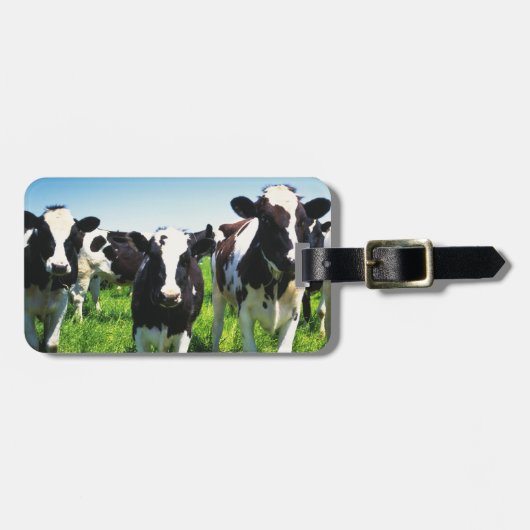 Koeien in het veld, stad Betsukai, Hokkaido Bagagelabel (Voorkant horizontaal)