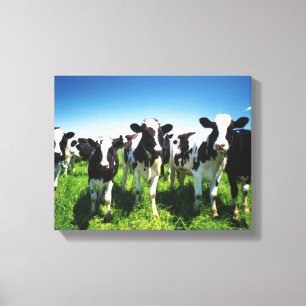 Koeien in het veld, stad Betsukai, Hokkaido Canvas Afdruk
