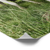 Koeien in rij poster (Hoek)