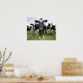 Koeien in rij poster (Keuken)