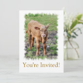 KOEIEN KAART (Staand voorkant)