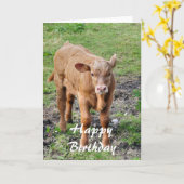 KOEIEN KAART (Gele Bloem)