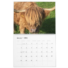 Koeien Kalender