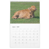 Koeien Kalender (Mar 2027)