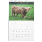 Koeien Kalender (Jan 2027)