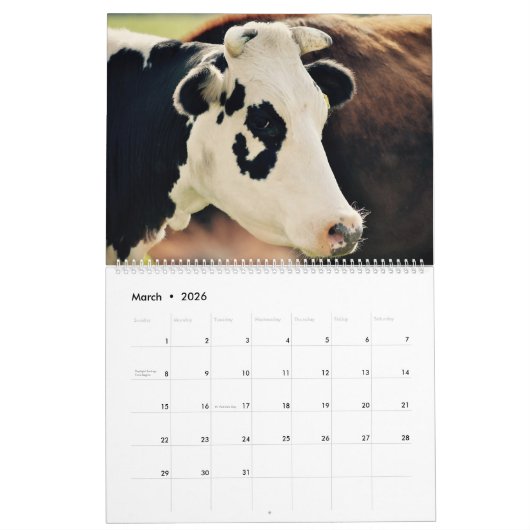 Koeien Kalender (Mar 2026)