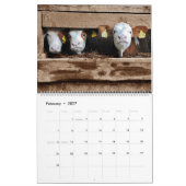 Koeien Kalender (Feb 2027)