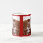 Koeien Koffiemok (Center)