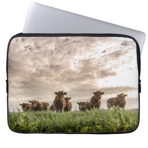 Koeien Laptop Sleeve
