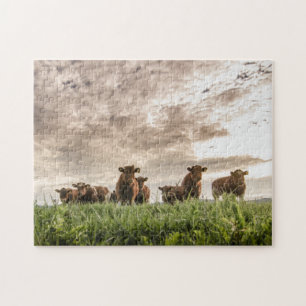 Koeien Legpuzzel