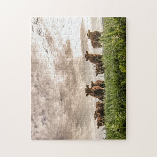 Koeien Legpuzzel (Verticaal)